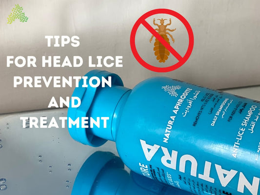 Tips for Head Lice Prevention and Treatment