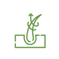 <p>Improve Growth</p>